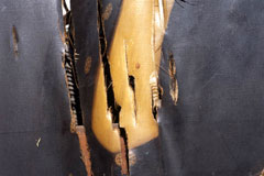 Detail of shirt, before conservation